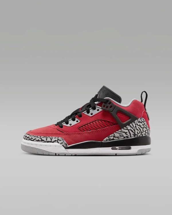 Jordan spizike low older kids